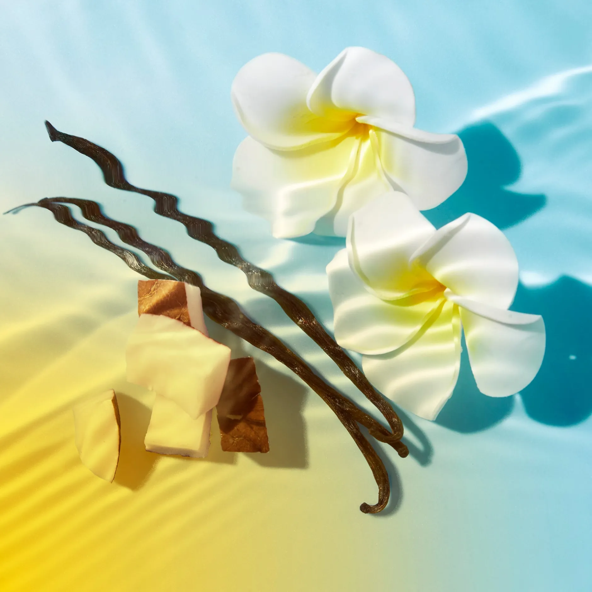 zartschmelzende_sonnenmilch_mit_lsf__gesicht_und_krper_4.webp NUXE Körper Sonnenschutz | Tagescreme*Zartschmelzende Sonnenmilch mit LSF 30 Gesicht und Körper